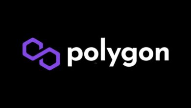 Photo of Polygon Joins Forces- The $100 Million Inevitable Games Fund for Web3 Gaming Growth 
