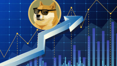 Photo of Dogwifhat Makes Its Way to the Top- A Meme Coin on the Rise