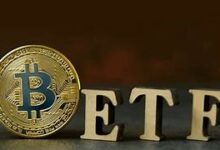 Photo of Bitcoin ETFs are a Magnet for Retail Investors, But Where are the Institutions?