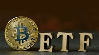 Bitcoin ETFs are a Magnet for Retail Investors