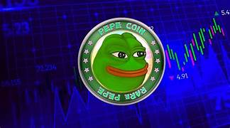 The Rise of the Meme Coin