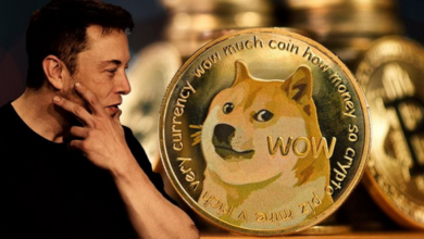 Photo of Can Dogecoin and GameStop Deliver Long-Term Value to Investors?